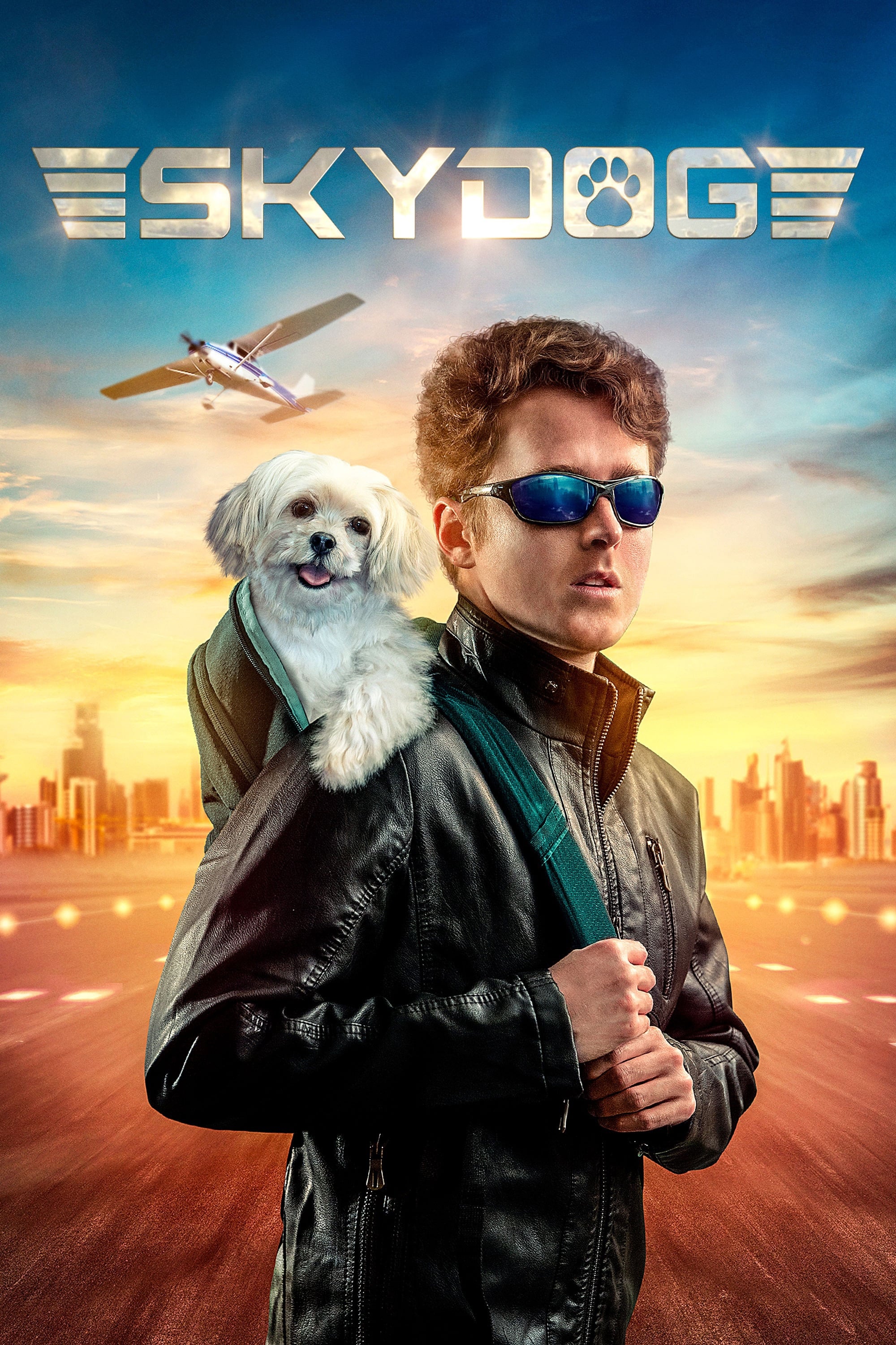 Постер Skydog